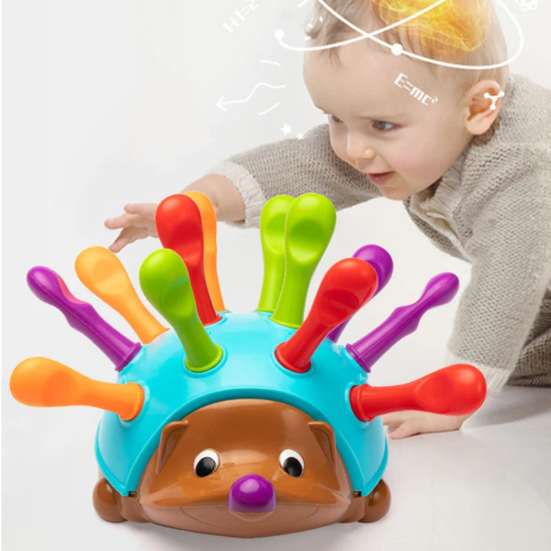 Hedgehog Montessori Toys - Baby Concentration Training Puzzle